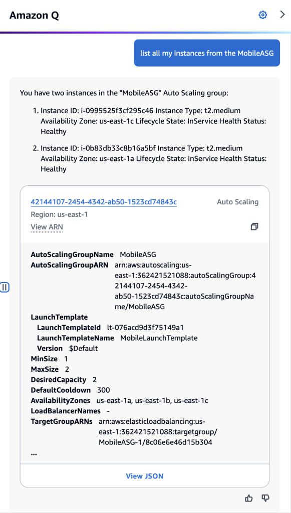 Amazon Q Developer chat screenshot showing the results of the question: “list all my instances from the MobileASG?”